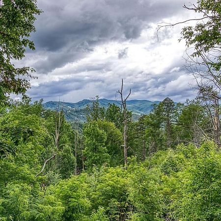 Blue Mist Villa Gatlinburg Dış mekan fotoğraf