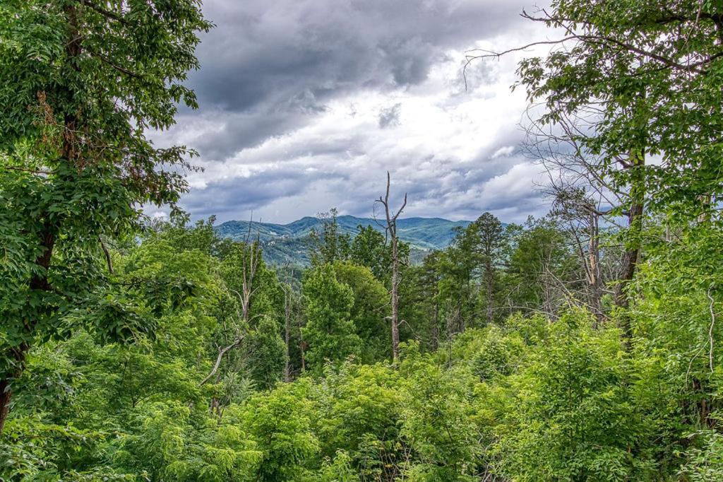 Blue Mist Villa Gatlinburg Dış mekan fotoğraf