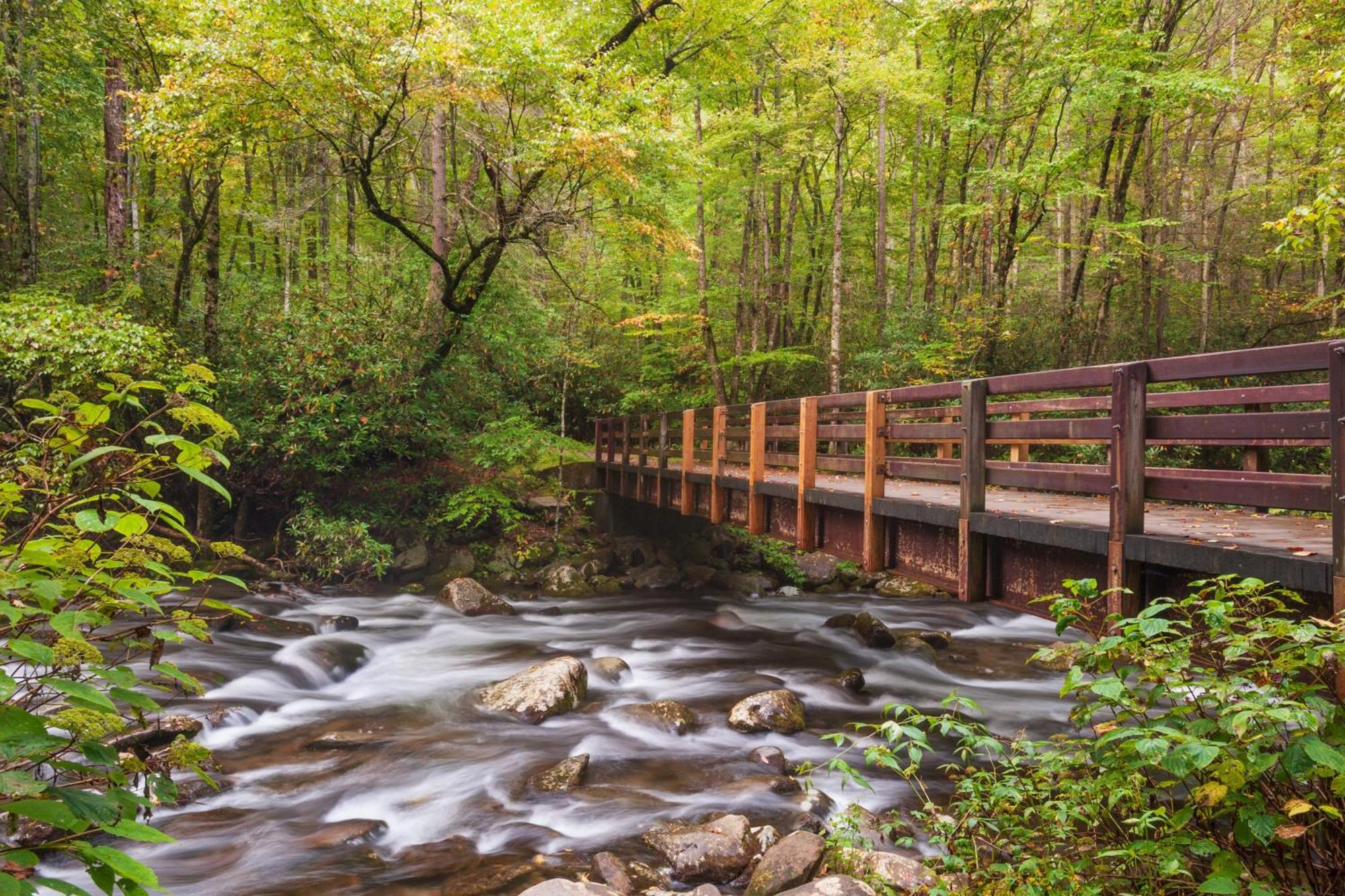 Blue Mist Villa Gatlinburg Dış mekan fotoğraf